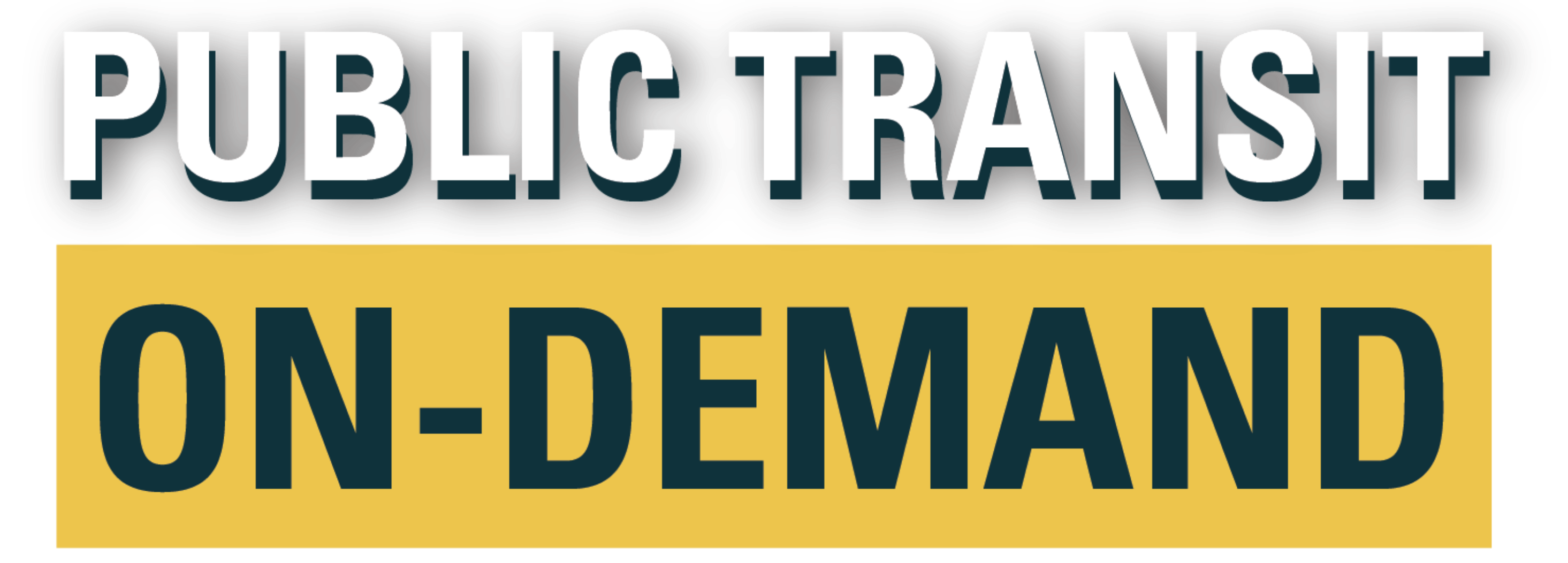 Public Transit On-Demand